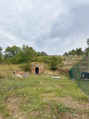 Teren intravilan de vanzare cu o crama zona Dealuri Oradea - imagine 2