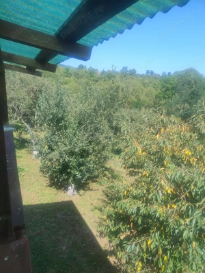 Casa de vânzare la Cacova Ierii - imagine 9