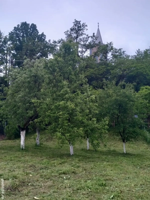 Vind teren intravilan  - imagine 2