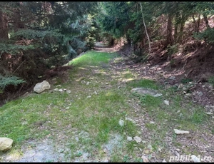 Propietar schimb teren la munte la Rausor HD - imagine 2