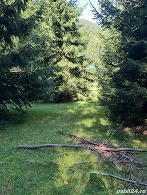 Propietar schimb teren la munte la Rausor HD - imagine 3