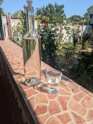 rachiu din fructe - imagine 2