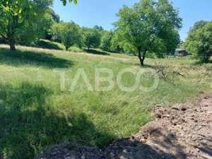 Teren intravilan oportunitate investitie parcelabil 7200 mp Cisnadie - imagine 4