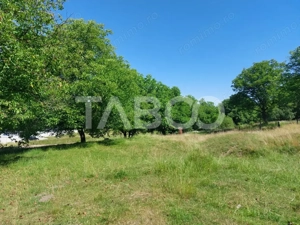 Teren intravilan oportunitate investitie parcelabil 7200 mp Cisnadie - imagine 2