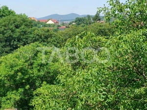 Teren intravilan oportunitate investitie parcelabil 7200 mp Cisnadie - imagine 3