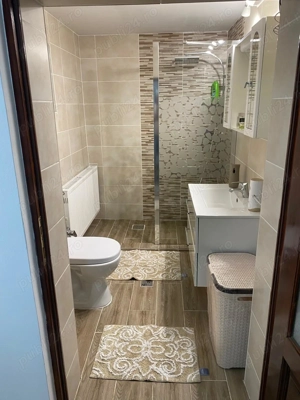 Casă de vânzare comuna Jamu Mare jud.Timis  - imagine 4