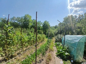 Casa de vanzare - imagine 4 Casa de vanzare - imagine 4