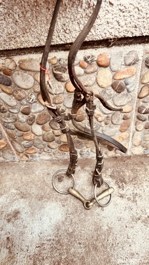 cand capastru de cai