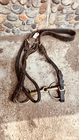 cand capastru de cai - imagine 2