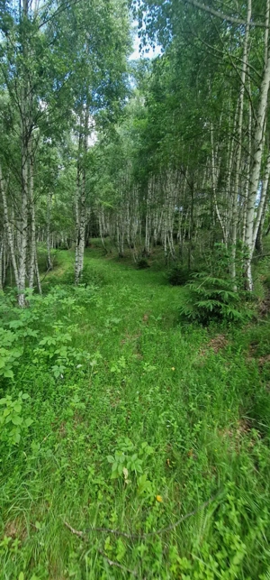 Vând teren în Moieciu, cu potențial investițional uriaș, la un preț foarte atractiv! - imagine 4