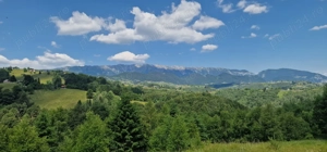 Vând teren în Moieciu, cu potențial investițional uriaș, la un preț foarte atractiv! - imagine 3