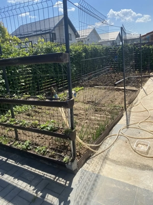 Vila +etaj individuala 130mp.curte.450mp. berceni - imagine 8