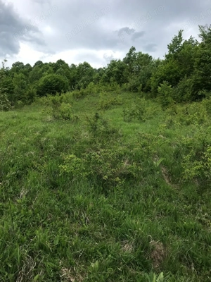 Teren intravilan de vânzare în Colibași, Dâmbovița  - imagine 2