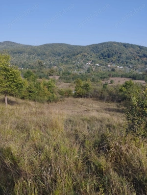 Teren intravilan de vânzare în Colibași, Dâmbovița