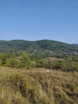 Teren intravilan de vânzare în Colibași, Dâmbovița  - imagine 4