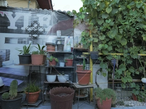 Casă spațioasă cu 6 camere, la câțiva pași de Palatul Mogoșoaia - imagine 11