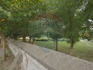 Casă spațioasă cu 6 camere, la câțiva pași de Palatul Mogoșoaia - imagine 17