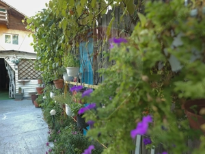 Casă spațioasă cu 6 camere, la câțiva pași de Palatul Mogoșoaia - imagine 16