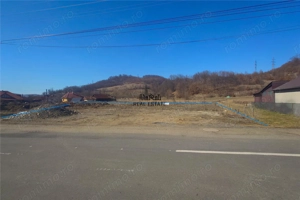 Teren intravilan in Brad