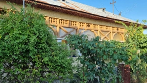 Casa si teren suprafata totala 3359 mp - sat Teslui, judetul Olt