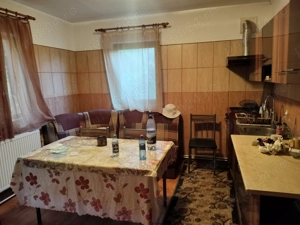 Conac cu mansardă și garaj la țară zonă liniștită cu livadă și vie 30 km distanță de Brăila - imagine 14