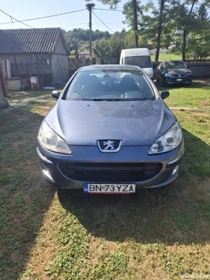 Vand Peugeot 407
