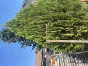 Casă de vânzare!!! - imagine 7