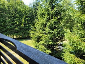 Cabana Praid   Bucin - imagine 3