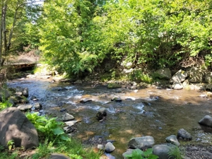 Cabana Prai( Bucin) - imagine 4