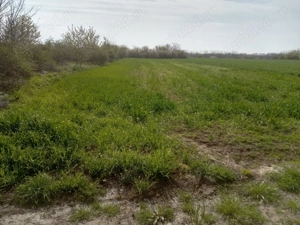 Vând teren Afumați, Ilfov - imagine 7