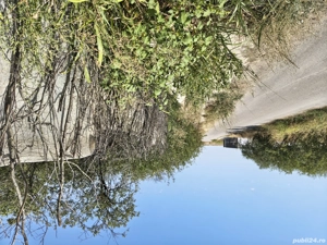 Teren casă  - imagine 6