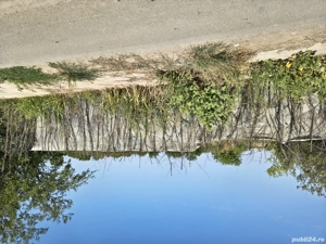 Teren casă  - imagine 10