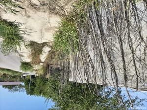 Teren casă  - imagine 8