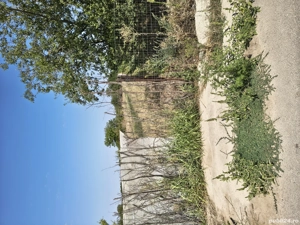 Teren casă  - imagine 5