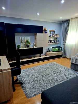 Apartament 2 camere , 49 m , central, Baia Sprie , renovat , optiuni : mobilat sau nemobilat