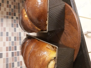 Vând purceluși Pietrain  - imagine 2