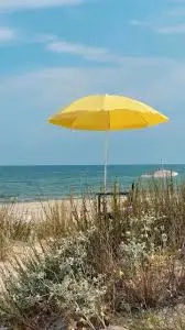 Particular -Vând 2,2 ha Vadu -Corbu -Constanta