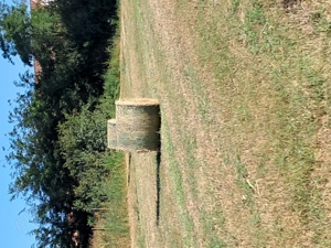 Baloți lucernă  MARi & ROTUNZi  - imagine 2