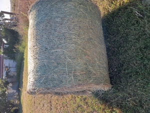 Baloți lucernă  MARi & ROTUNZi  - imagine 3