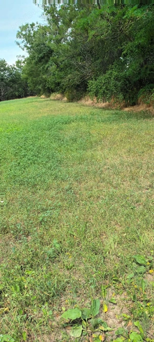 Proprietar vând teren intravilan cu casă demolabila in Poeni  - imagine 2