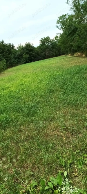 Proprietar vând teren intravilan cu casă demolabila in Poeni  - imagine 5