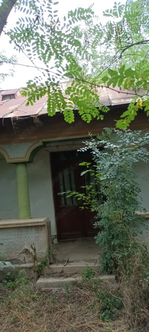Proprietar vând teren intravilan cu casă demolabila in Poeni  - imagine 7