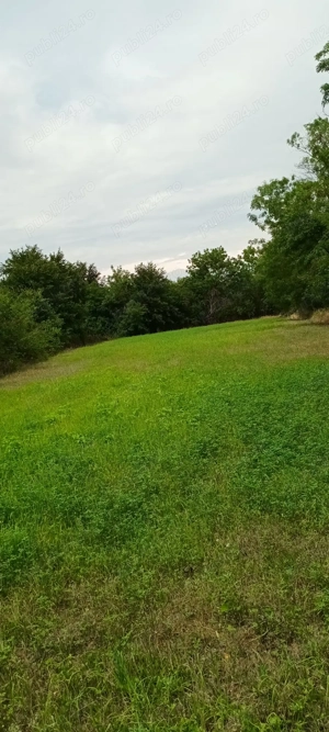 Proprietar vând teren intravilan cu casă demolabila in Poeni  - imagine 8