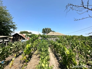 Casa Jiana Veche - imagine 3