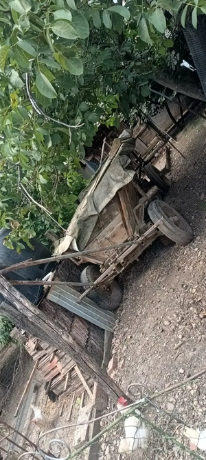 Căruță in stare de funcționare  - imagine 3 Căruță in stare de funcționare  - imagine 3