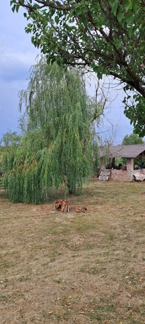 Teren de vânzare  - imagine 9