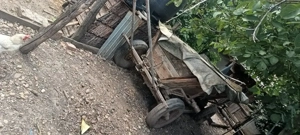 Căruță in stare de funcționare  - imagine 4 Căruță in stare de funcționare  - imagine 4