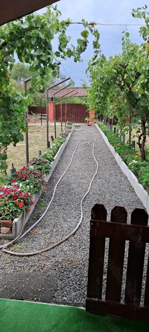 Teren de vânzare  - imagine 2