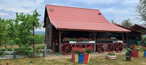 Teren de vânzare  - imagine 3