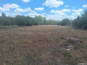 casa Moravita - imagine 10